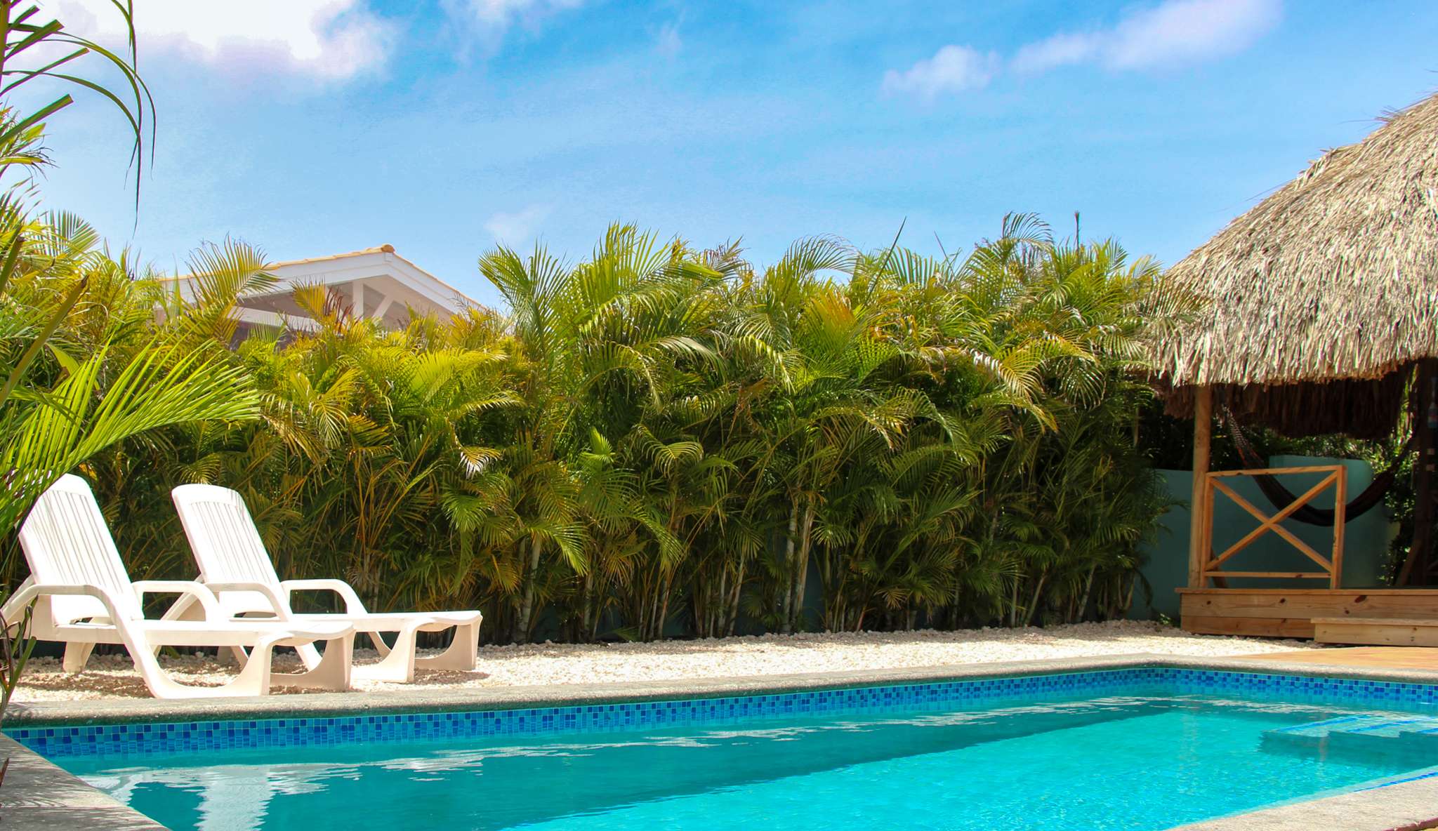 Sun loungers by the pool with palms and the palapa with hammock