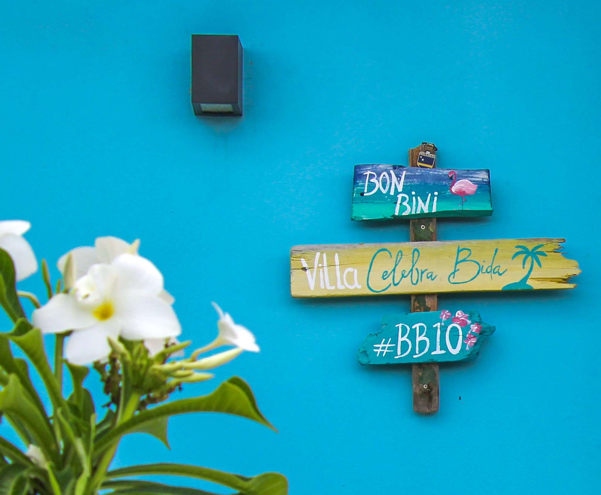 Bon Bini sign of Villa Celebra Bida on the facade, next to a flowering plant