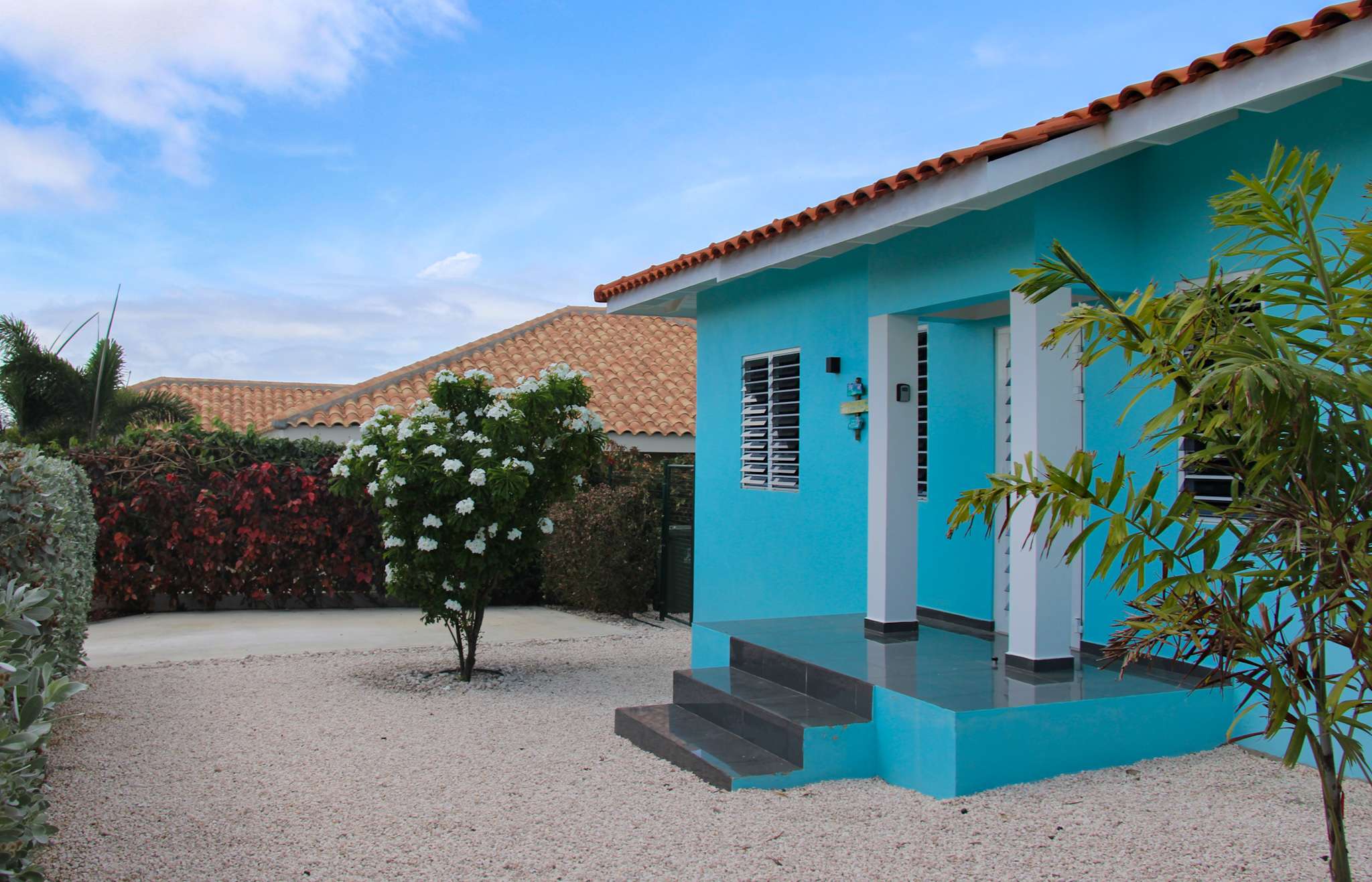 Front of the villa with a flowering frangipani and the steps to the front door